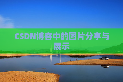 CSDN博客中的图片分享与展示